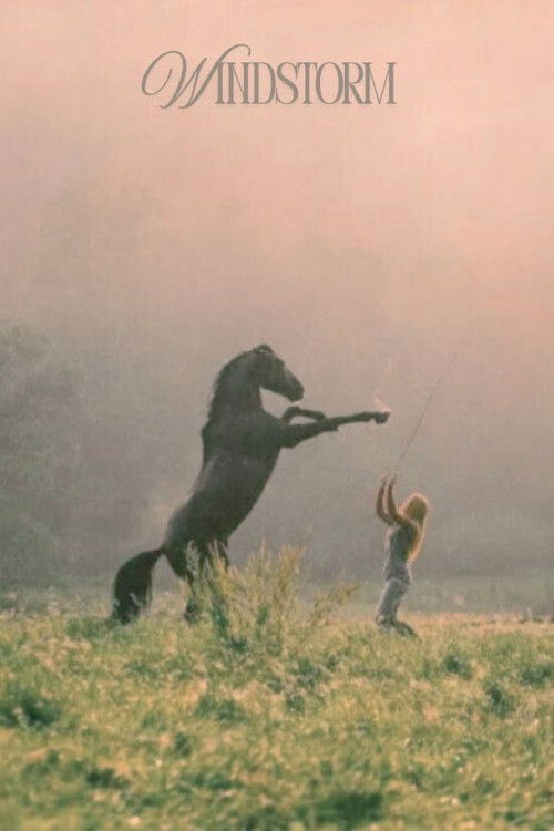 Kasırga (2013) poster