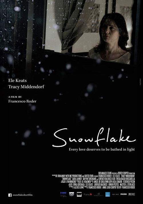 Snowflake (2014) poster