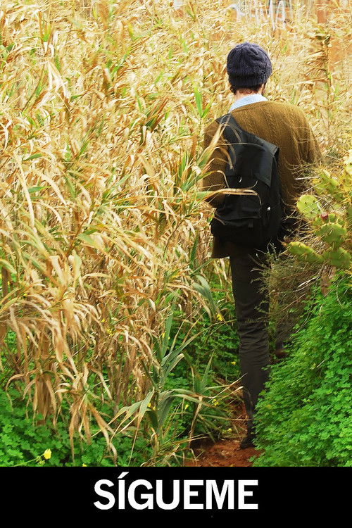 Follow Me (2011) poster