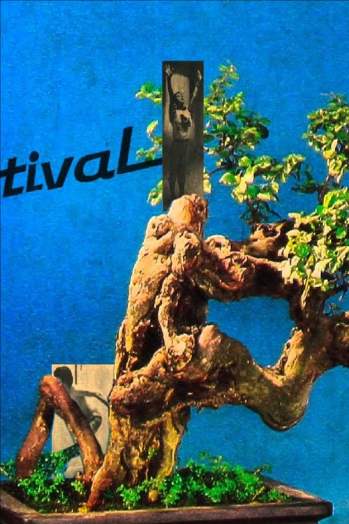 HAFF Leader 2016 (2016) poster