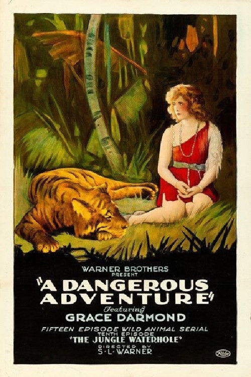 A Dangerous Adventure (1922) poster