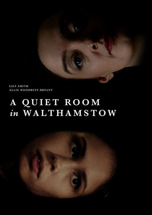 A Quiet Room in Walthamstow (2017) poster