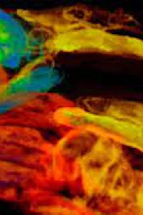 AETERNA (2013) poster