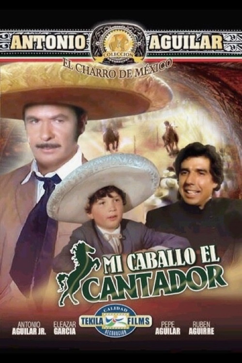 Mi Caballo El Cantador (1979) poster