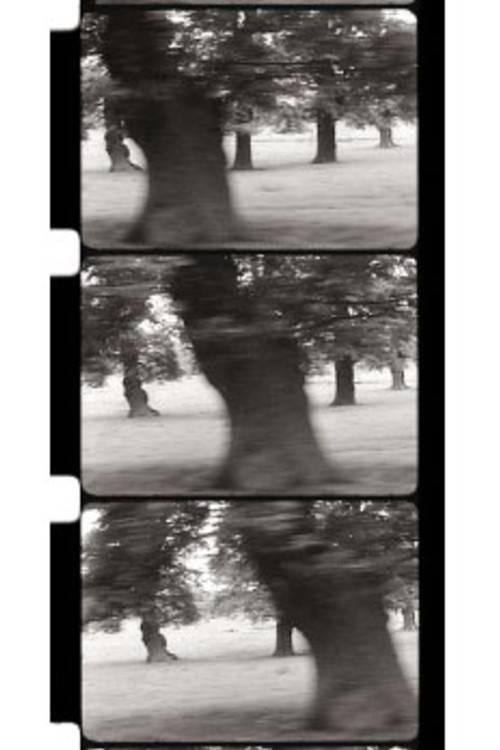 Motion Parallax (1968) poster