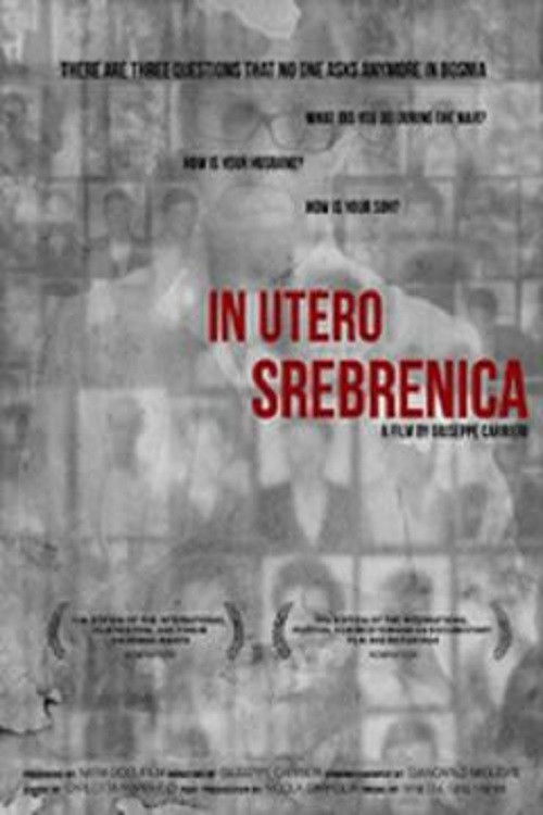 In utero Srebrenica (2013) poster