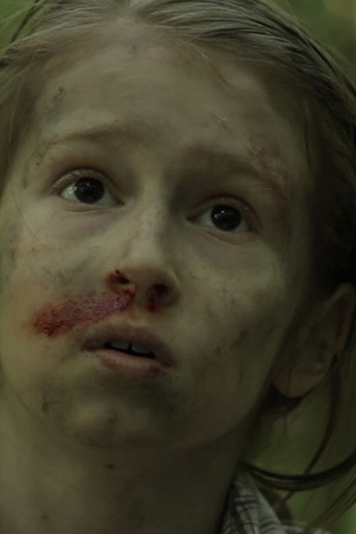 The Bomb (2013) poster