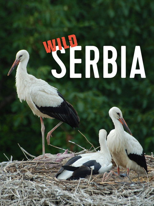Wild Serbia (2011) poster