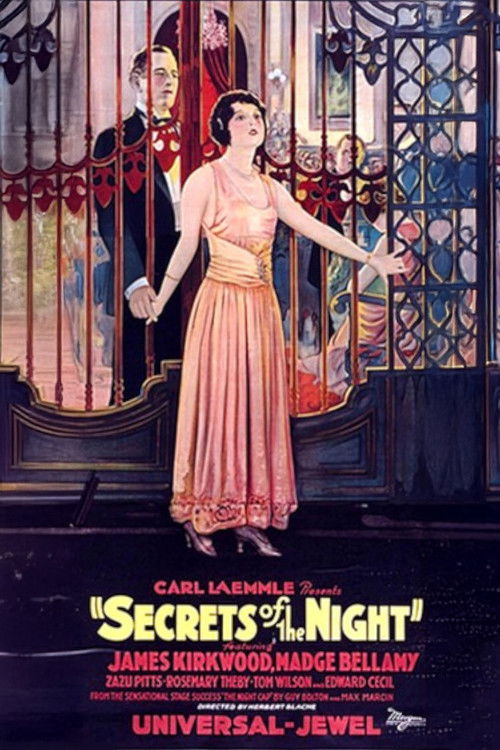 Secrets of the Night (1924) poster