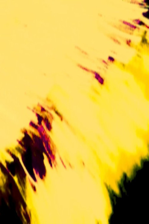 Ride The Spiral To The End (2025) poster