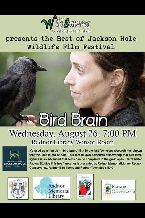 Bird Brain (2012) poster