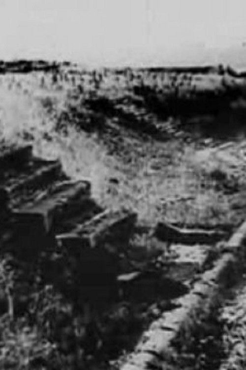 The Occupation Years (1967) poster