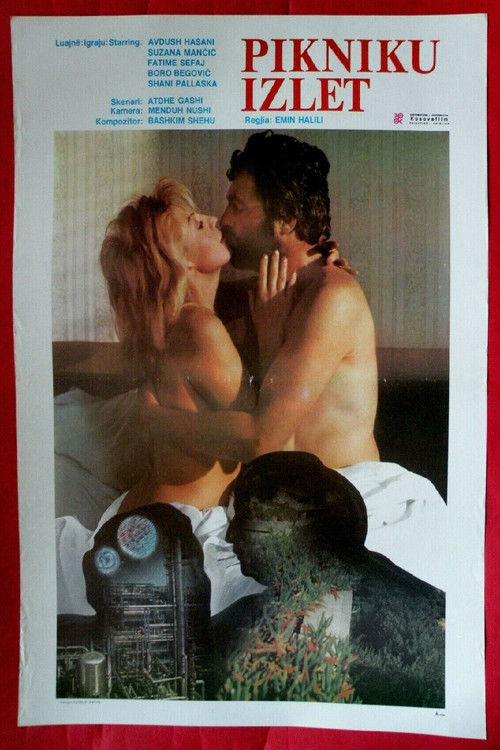 The Picnic (1986) poster