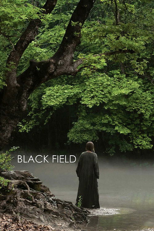 Black Field (2009) poster