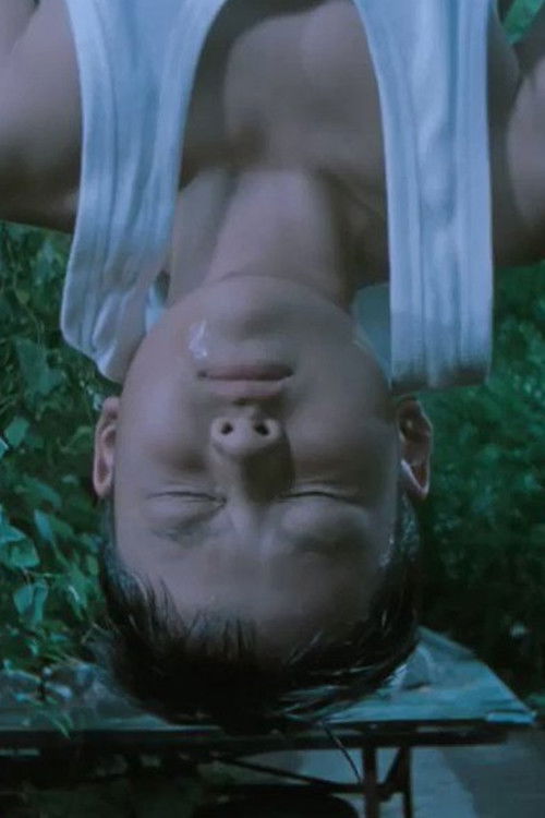 Secret Goldfish (2016) poster