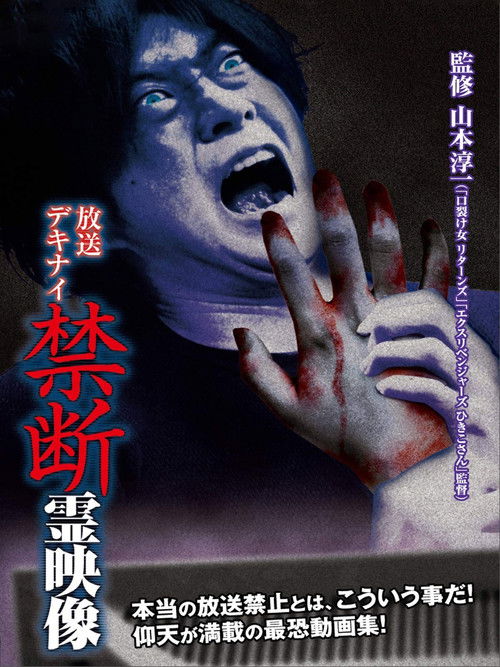 Broadcast Dekinai Forbidden Spirit Video (2014) poster