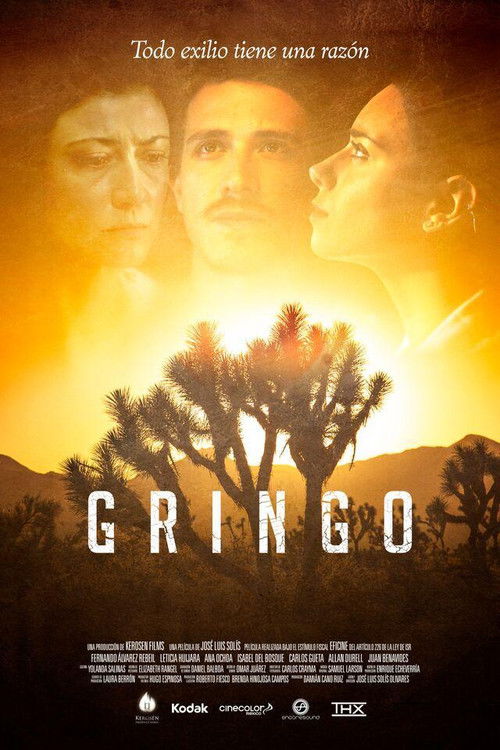 Gringo (2015) poster