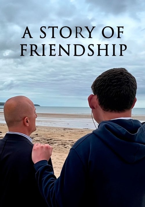 A Story of Friendship (2025) poster