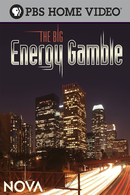 The Big Energy Gamble (2009) poster