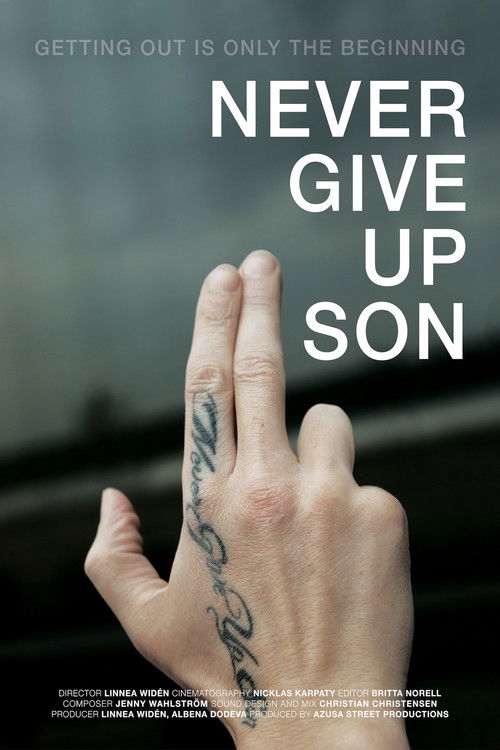 Never Give up Son (2014) poster