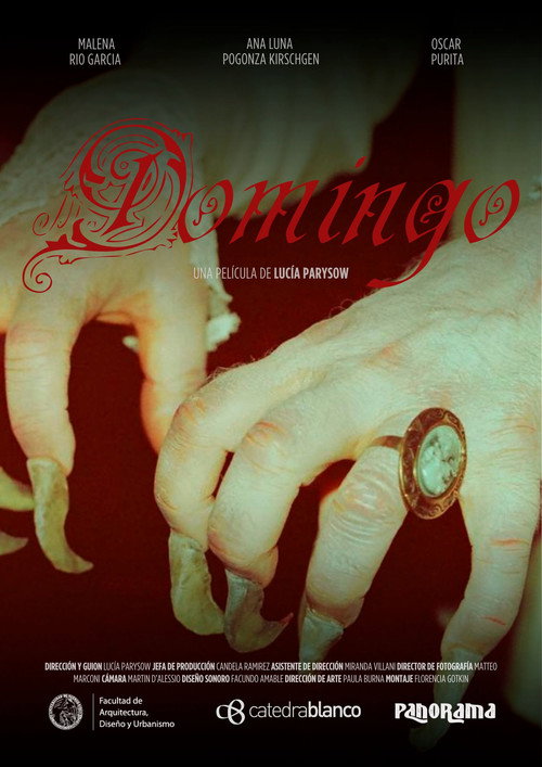 Domingo (2024) poster