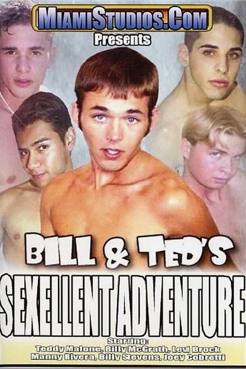 Bill & Ted's Sexellent Adventure (2004) poster