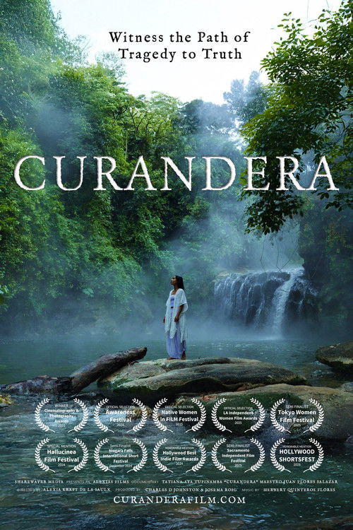 Curandera (2025) poster