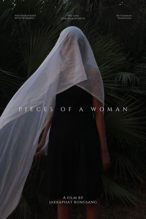 Pieces of a woman (2022) poster