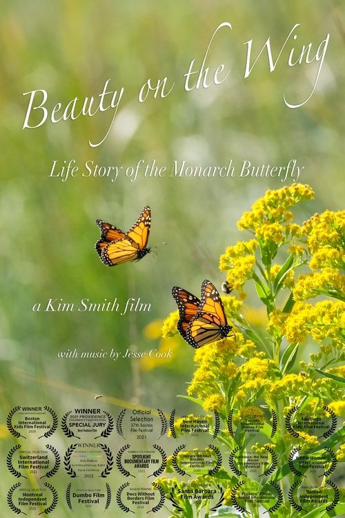 Beauty on the Wing: Life Story of the Monarch Butterfly (2020) poster