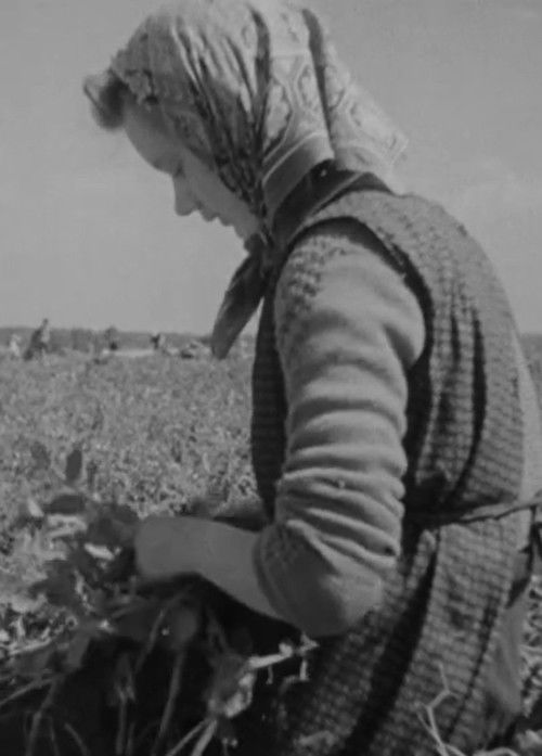 Over de jaargetijden heen (1949) poster