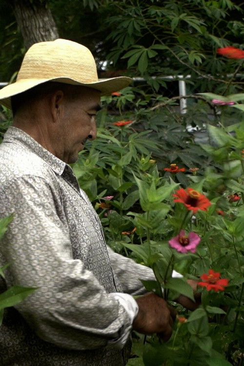 Hojita de tamarindo (2024) poster