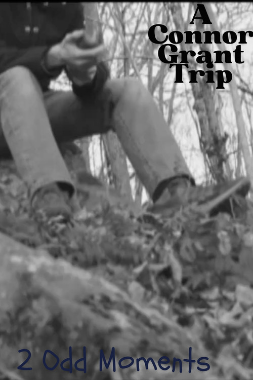 2 Odd Moments (2023) poster