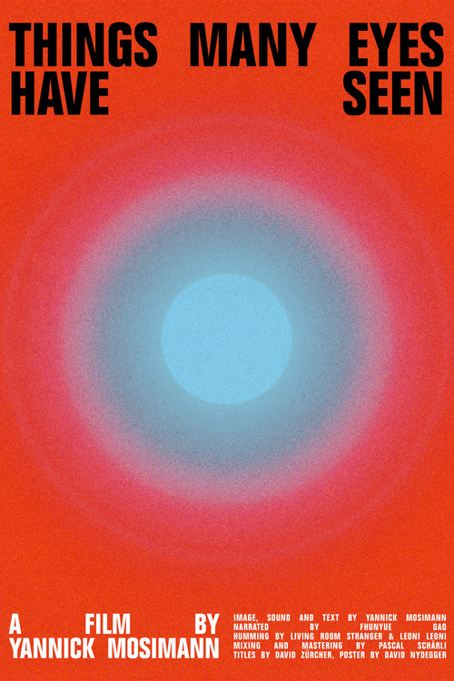 Things many have eyes seen (2025) poster