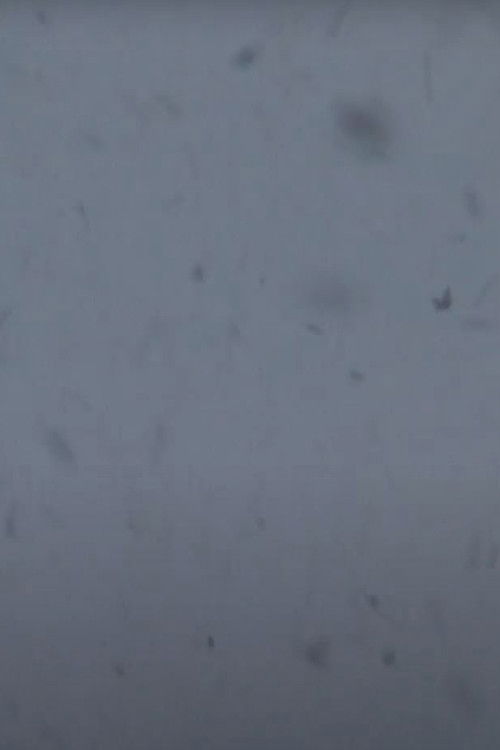 Chambers of Time (2010) poster