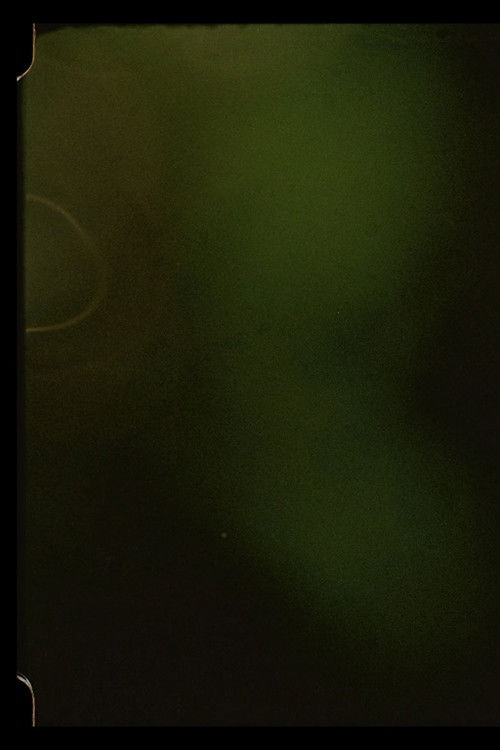 Summer Light For Tula (2021) poster