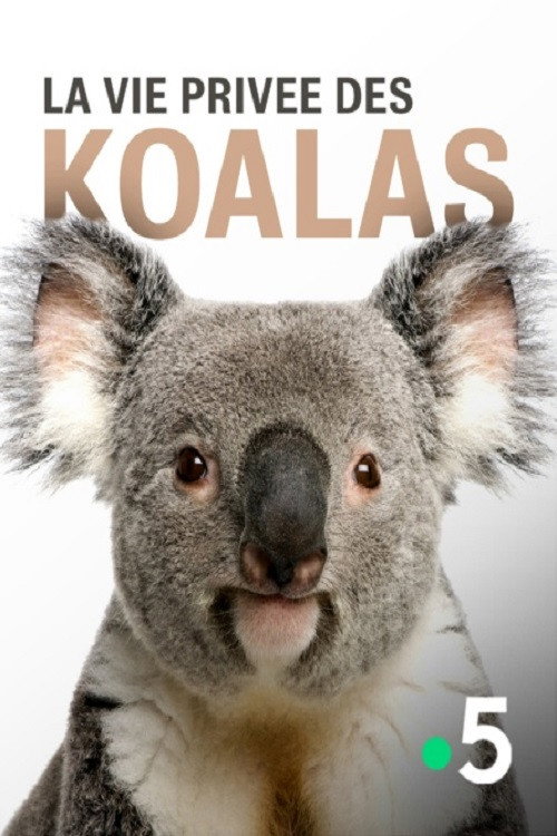 La vie privée des koalas (2019) poster