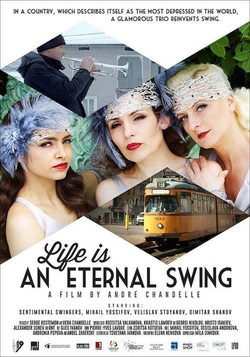 Life Is an Eternal Swing (2015) poster