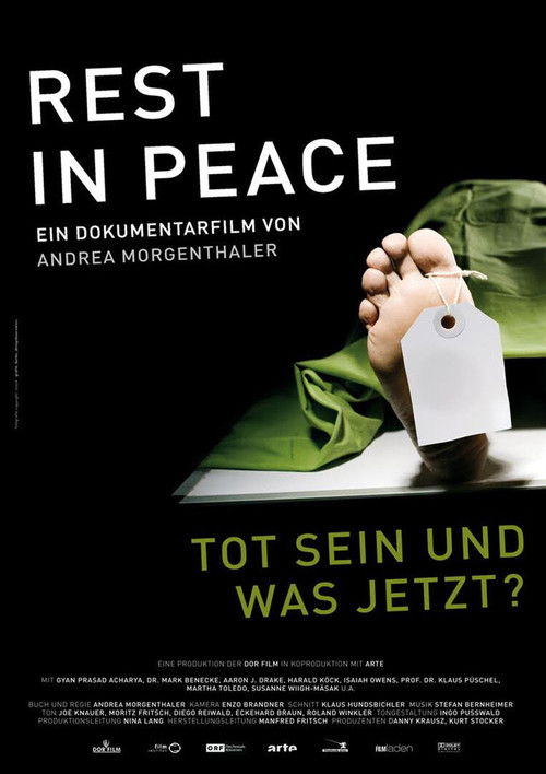 Rest in Peace (2010) poster