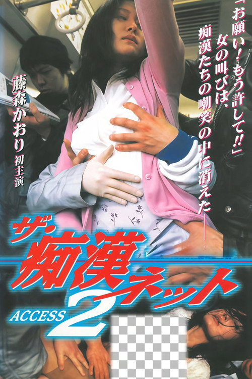 ザ・痴漢ネット  ACCESS 2 (1999) poster
