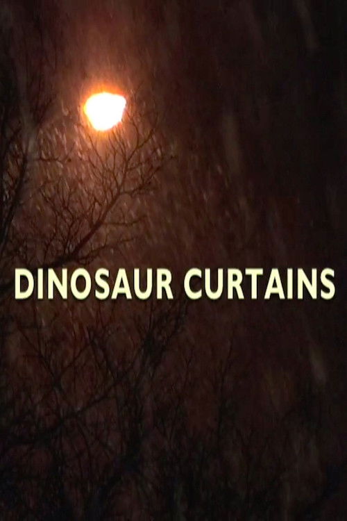 Dinosaur Curtains (2011) poster