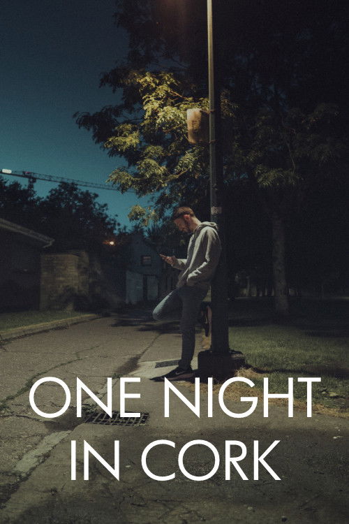 One Night in Cork (2021) poster