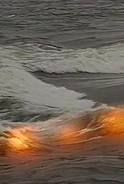 Les bruits blancs (1990) poster