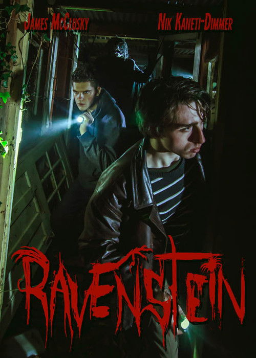Ravenstein (2020) poster