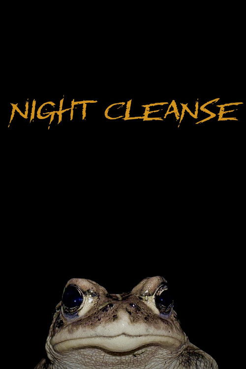 Night Cleanse (2025) poster