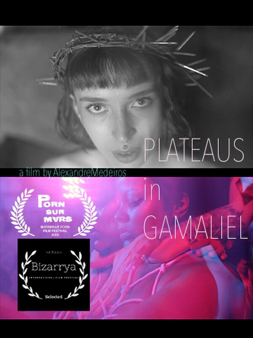 Plateaus in Gamaliel (2023) poster