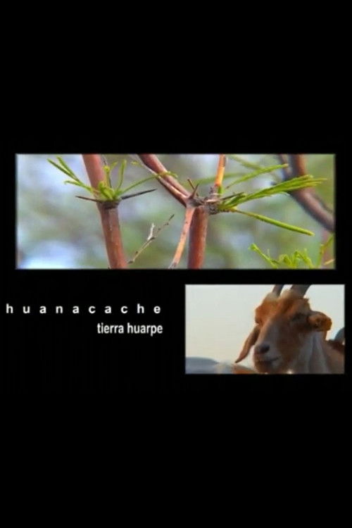 Huacanche, Tierra Huarpe (2009) poster