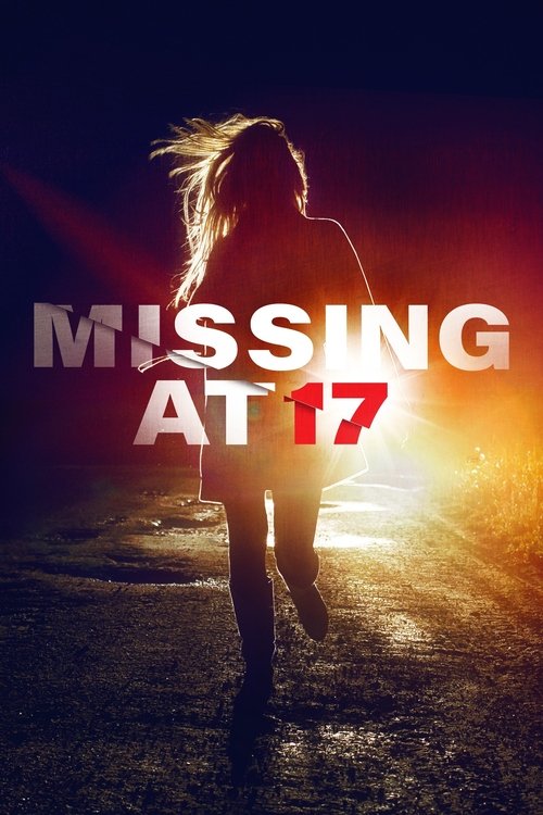 Missing at 17 (2013) poster