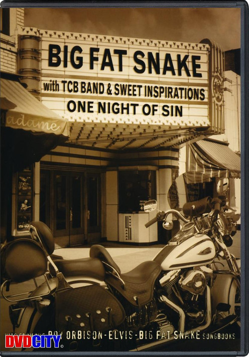 Big Fat Snake - One Night of Sin (2003) poster