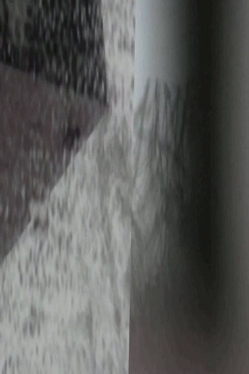 Snows of Reduction (2012) poster