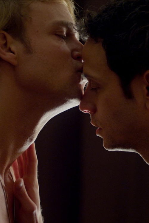 Meester (2011) poster